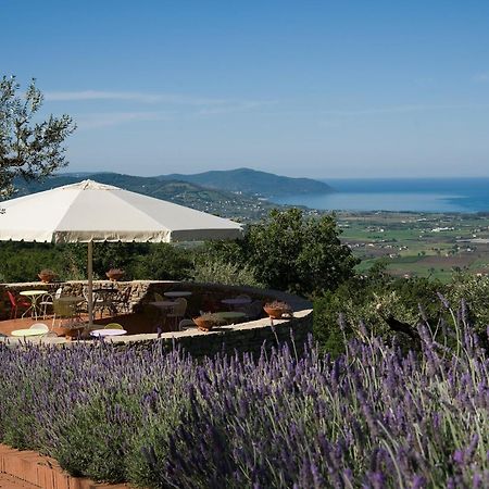 Borgo La Pietraia Otel Paestum Dış mekan fotoğraf